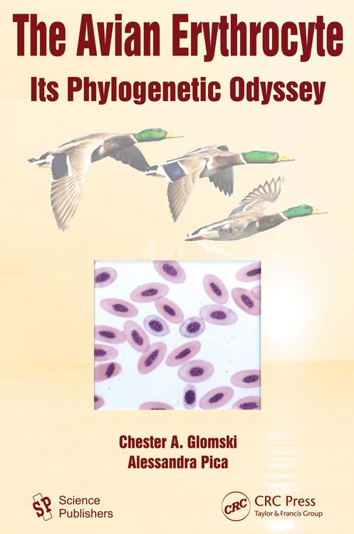 Produktbild: The Avian Erythrocyte