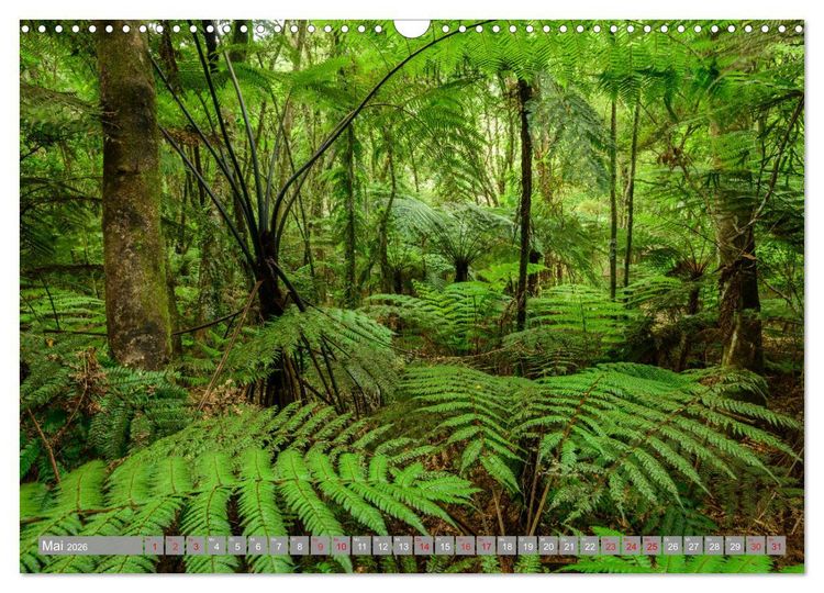 Produktbild: Beautiful Neuseeland (Wandkalender 2026 DIN A3 quer), CALVENDO Monatskalender