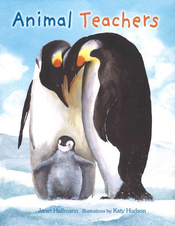 Produktbild: Animal Teachers