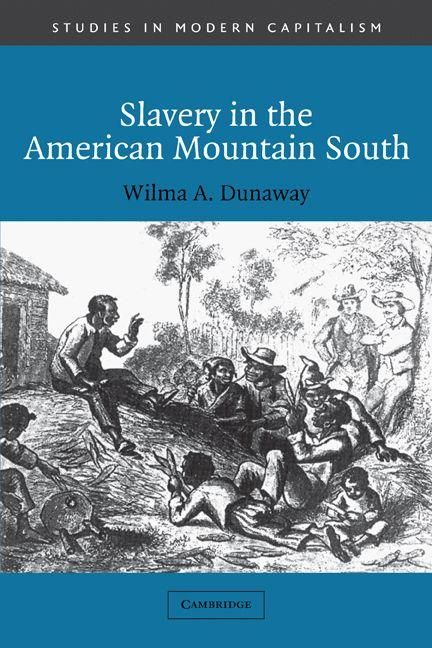 Produktbild: Slavery in the American Mountain South