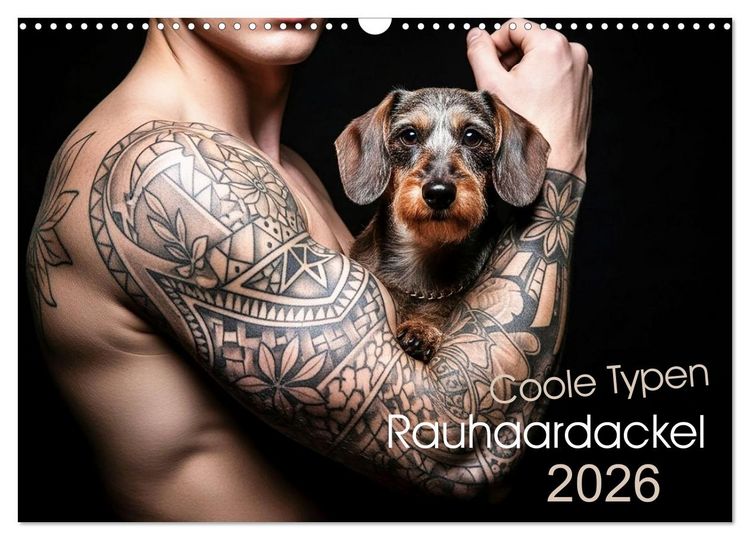Produktbild: Coole Typen - Rauhaardackel (Wandkalender 2026 DIN A3 quer), CALVENDO Monatskalender