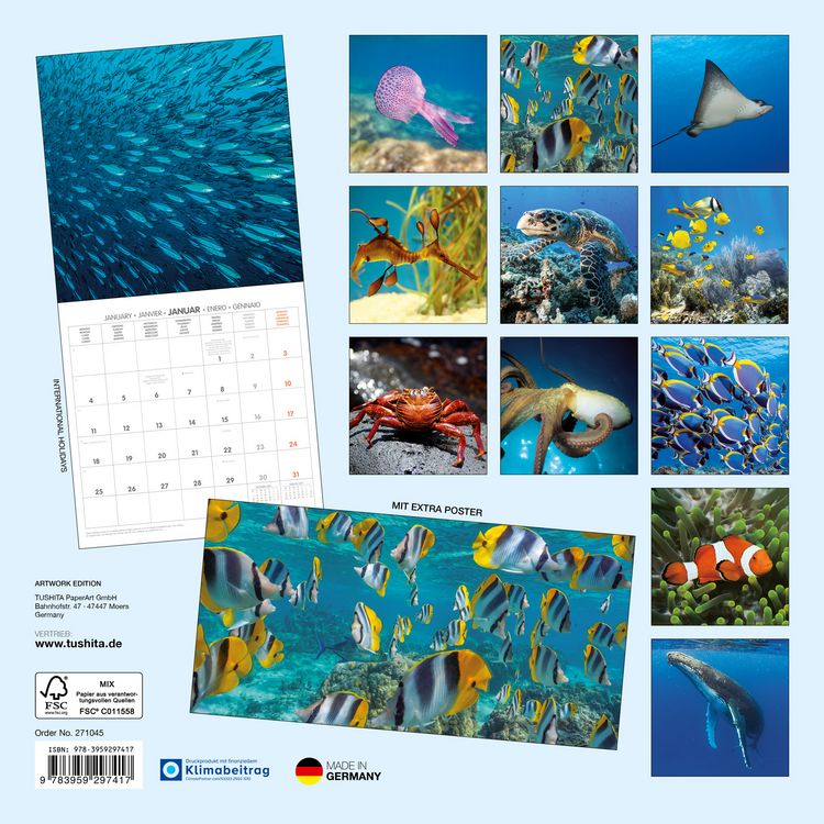 Produktbild: Meerestiere / Sea Creatures 2027