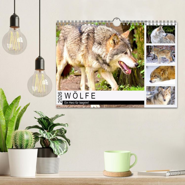 Produktbild: W&ouml;lfe. Ein Herz f&uuml;r Isegrim! (Wandkalender 2026 DIN A4 quer), CALVENDO Monatskalender