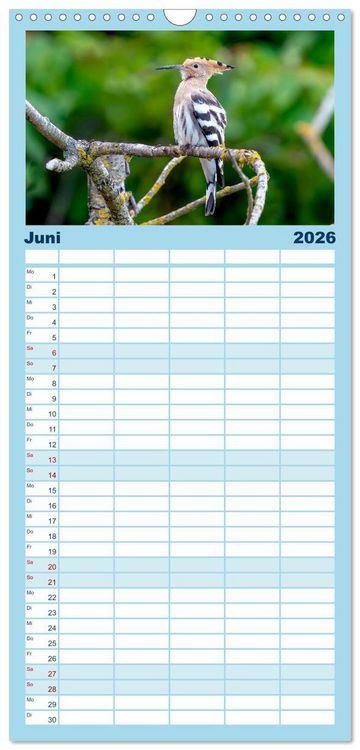 Produktbild: Familienplaner 2026 - Unsere Vogelvielfalt: Ein Schatz zum Entdecken und Sch&uuml;tzen mit 5 Spalten (Wandkalender, 21 x 45 cm) CALVENDO