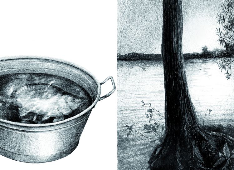 Produktbild: The Narrative Power of Illustrations and Drawings - Mind the Gap