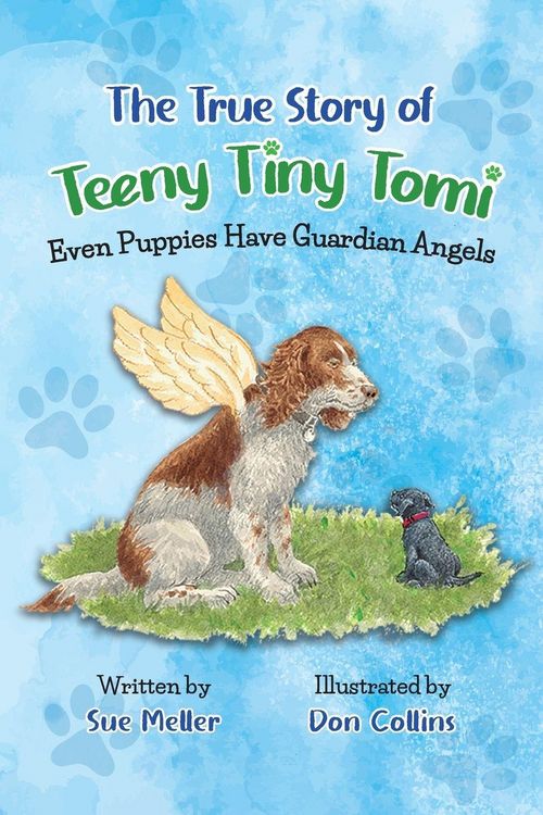 Produktbild: The True Story of Teeny Tiny Tomi