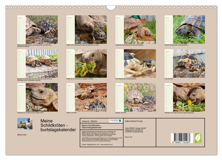 Produktbild: Meine Schildkr&ouml;ten - Geburtstagskalender (Wandkalender 2026 DIN A3 quer), CALVENDO Monatskalender