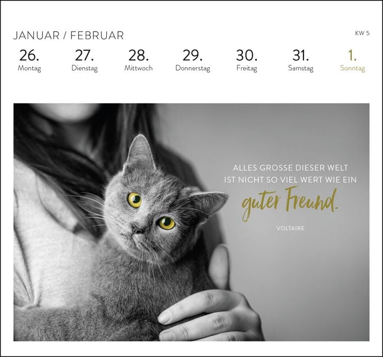 Produktbild: Postkartenkalender 2026: Inspirierende Worte für Katzenfreunde