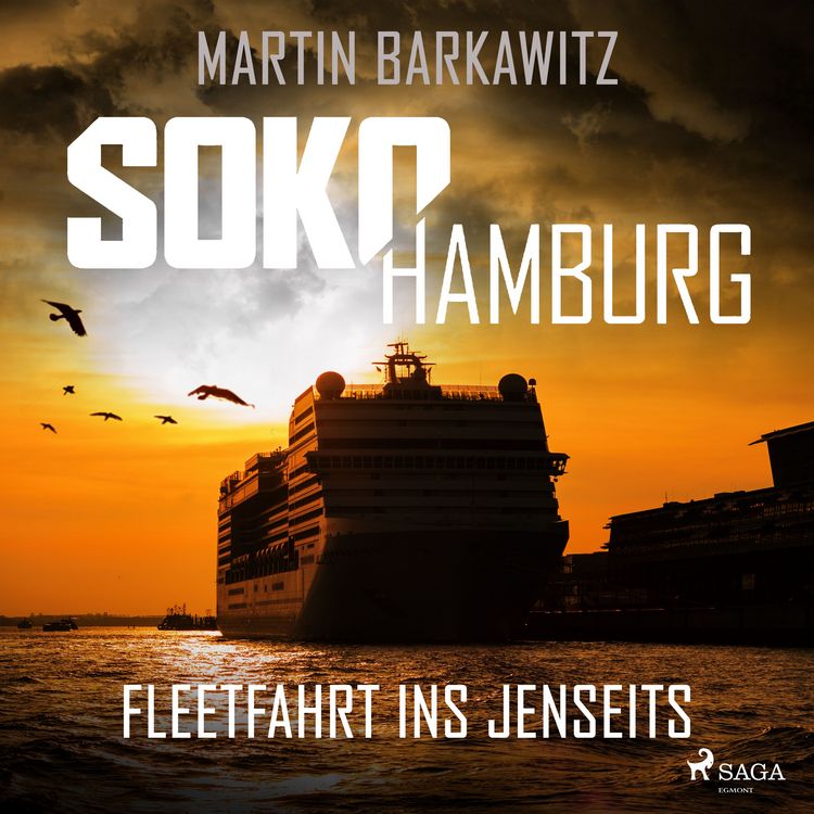 Produktbild: SoKo Hamburg: Fleetfahrt ins Jenseits (Ein Fall f&uuml;r Heike Stein, Band 3)