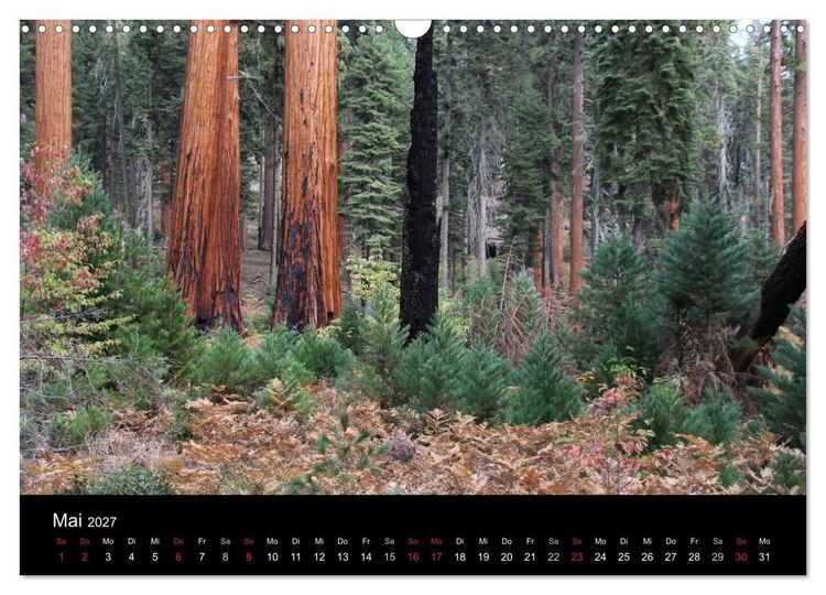 Produktbild: Kalifornien 2027 (Wandkalender 2027 DIN A3 quer), CALVENDO Monatskalender