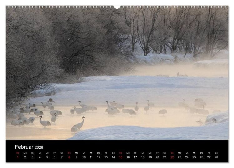 Produktbild: V&ouml;gel & Landschaften (Wandkalender 2026 DIN A2 quer), CALVENDO Monatskalender