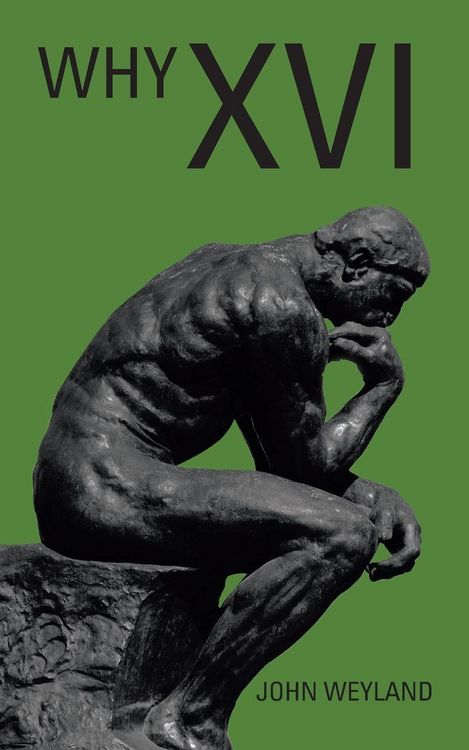 Produktbild: Why Xvi