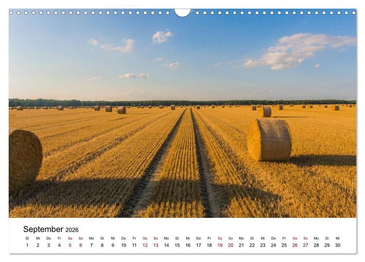 Produktbild: Altmarkliebe (Wandkalender 2026 DIN A3 quer), CALVENDO Monatskalender