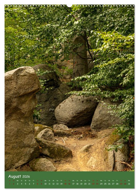 Produktbild: Ich bin dann mal im Wald (Wandkalender 2026 DIN A2 hoch), CALVENDO Monatskalender