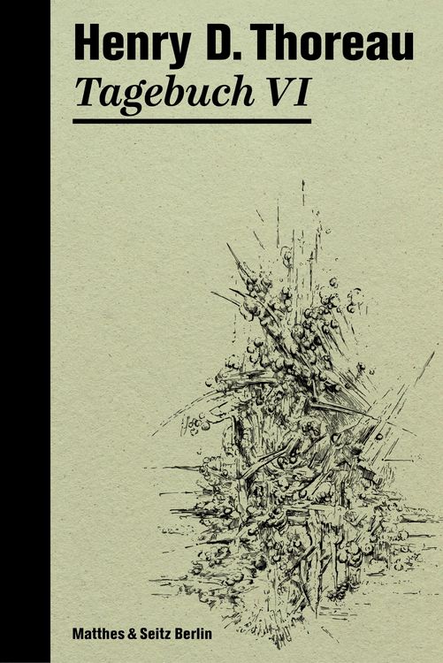 Produktbild: Tagebuch VI