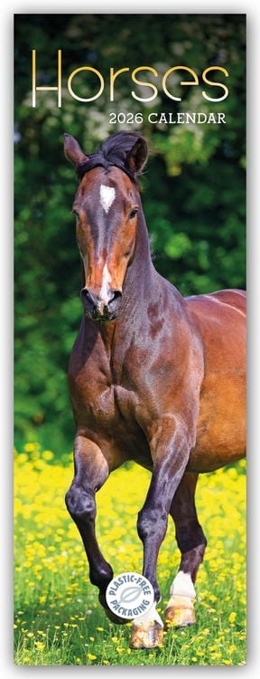 Produktbild: Horses – Pferde 2026 – Slimline-Kalender
