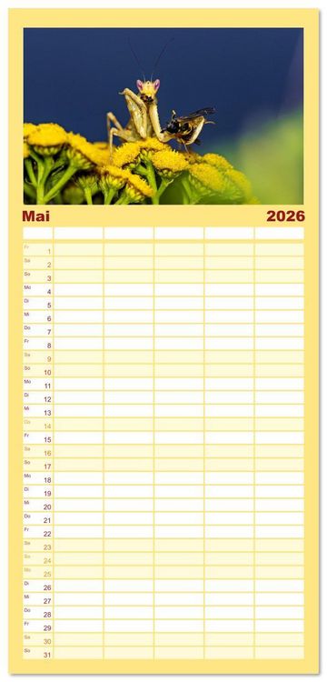 Produktbild: Familienplaner 2026 - Im Bann der Mantis mit 5 Spalten (Wandkalender, 21 x 45 cm) CALVENDO