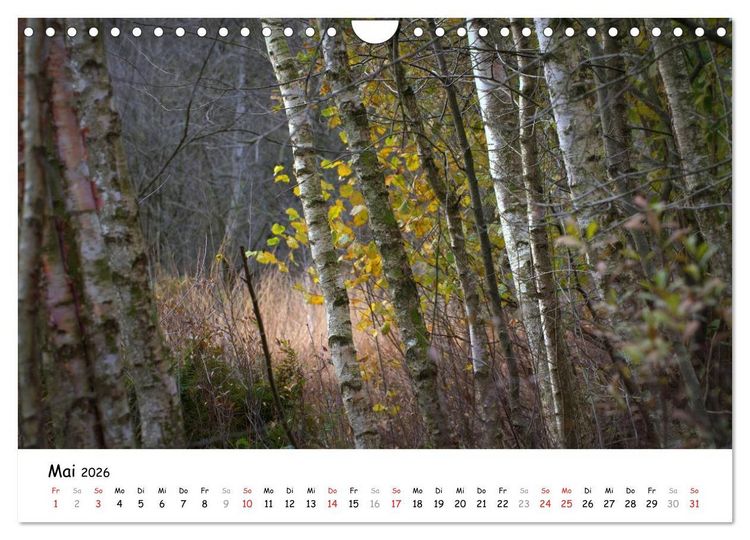 Produktbild: Unterwegs im Teufelsmoor (Wandkalender 2026 DIN A4 quer), CALVENDO Monatskalender