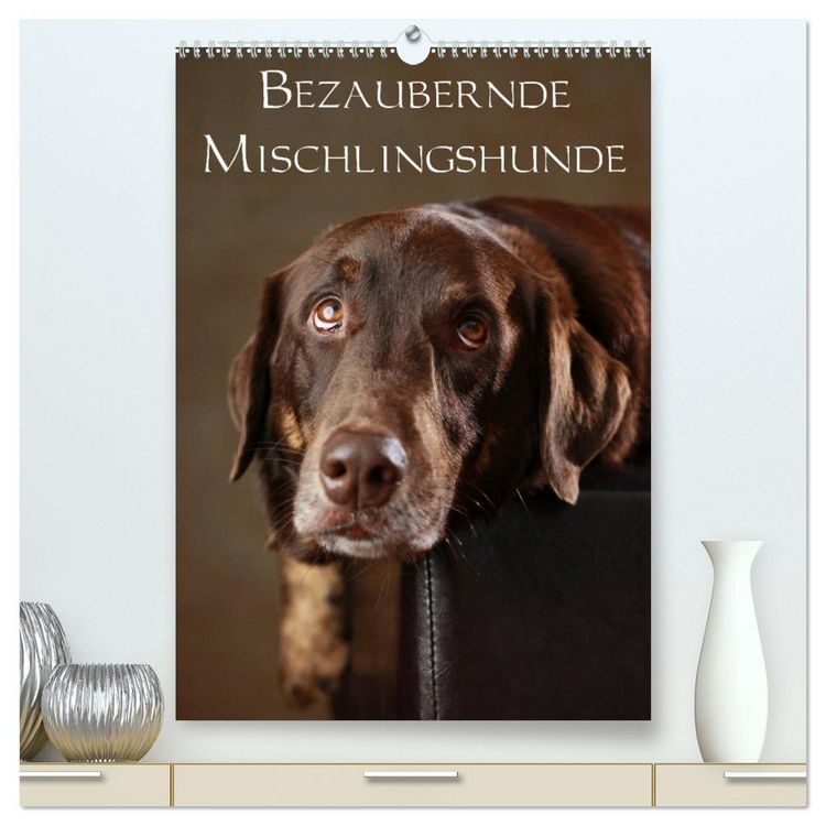 Produktbild: Bezaubernde Mischlingshunde (hochwertiger Premium Wandkalender 2026 DIN A2 hoch), Kunstdruck in Hochglanz