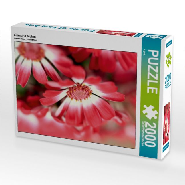 Produktbild: CALVENDO Puzzle cineraria bl&uuml;ten | 2000 Teile Lege-Gr&ouml;&szlig;e 90x67cm Foto-Puzzle f&uuml;r gl&uuml;ckliche Stunden