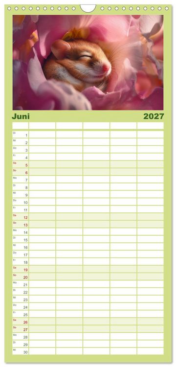 Produktbild: Familienplaner 2027 - Waldgefl&uuml;ster mit 5 Spalten (Wandkalender, 21 x 45 cm) CALVENDO