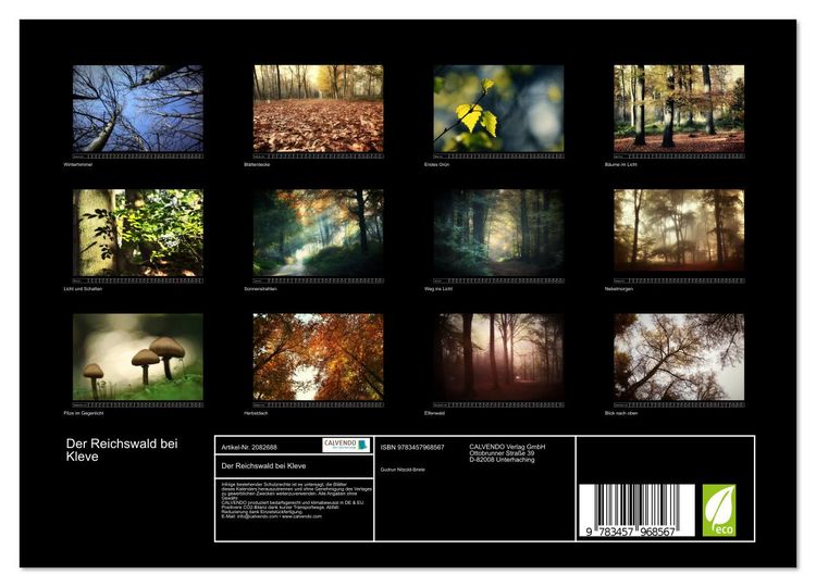 Produktbild: Der Reichswald bei Kleve (Wandkalender 2026 DIN A4 quer), CALVENDO Monatskalender