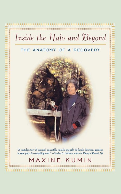 Produktbild: Inside the Halo and Beyond