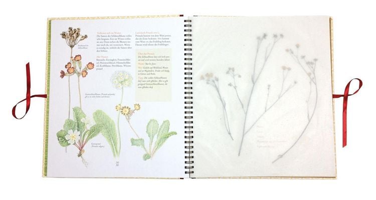 Produktbild: Auf der Hummelwiese &ndash; Das gro&szlig;e Herbarium