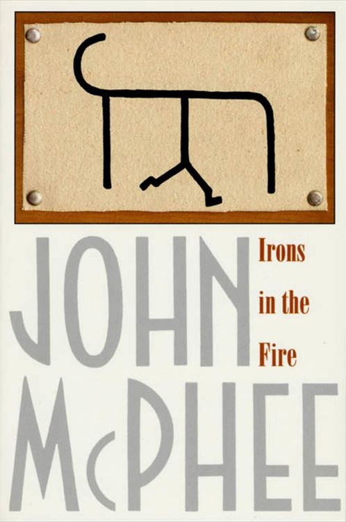 Produktbild: Irons in the Fire