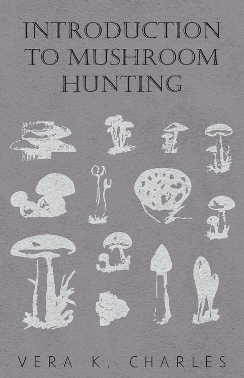 Produktbild: Introduction to Mushroom Hunting