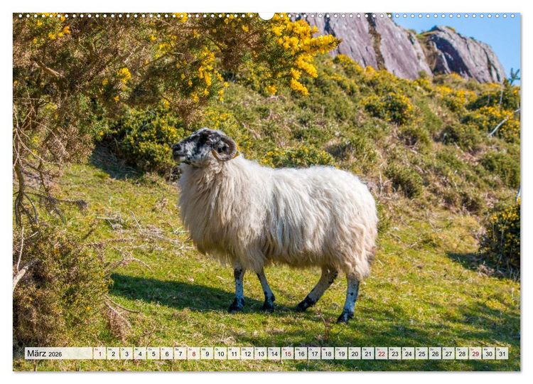 Produktbild: Kerry - Die gr&uuml;ne Perle Irlands (Wandkalender 2026 DIN A2 quer), CALVENDO Monatskalender