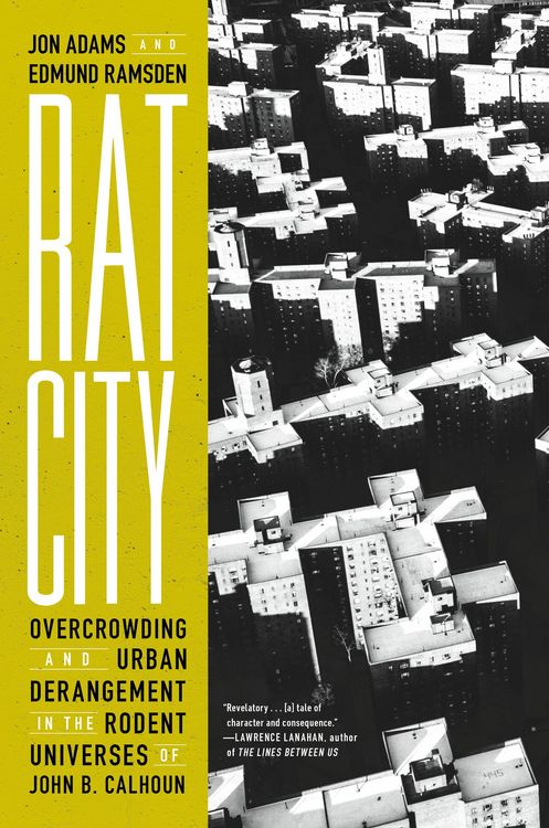 Produktbild: Rat City