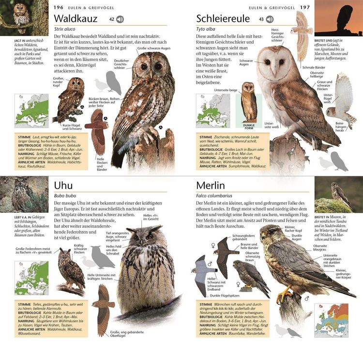 Produktbild: V&ouml;gel