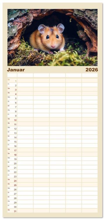 Produktbild: Familienplaner 2026 - Wild und flauschig - Hamster - Abenteuer in freier Natur mit 5 Spalten (Wandkalender, 21 x 45 cm) CALVENDO