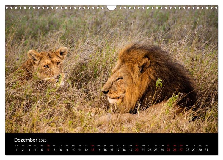 Produktbild: Wildes Afrika (Wandkalender 2026 DIN A3 quer), CALVENDO Monatskalender