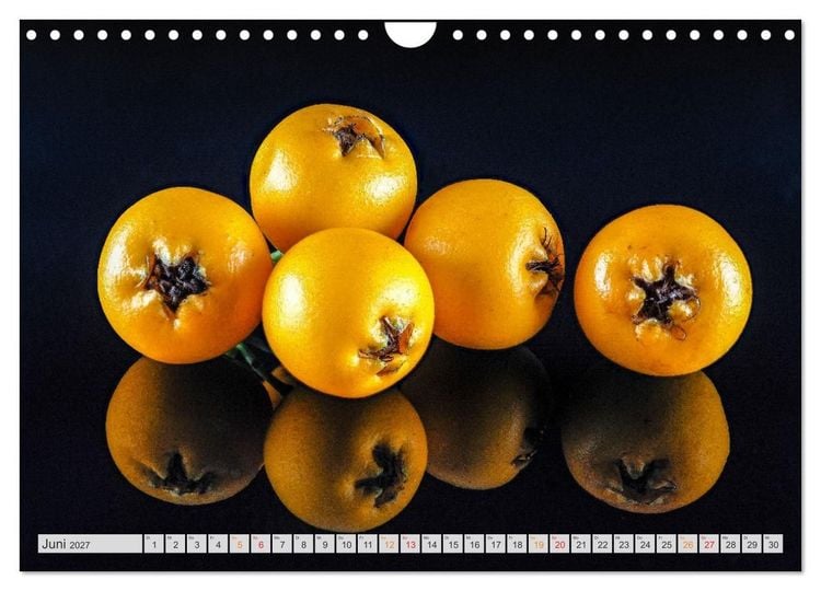 Produktbild: Zauber der kleinen Dinge (Wandkalender 2027 DIN A4 quer), CALVENDO Monatskalender