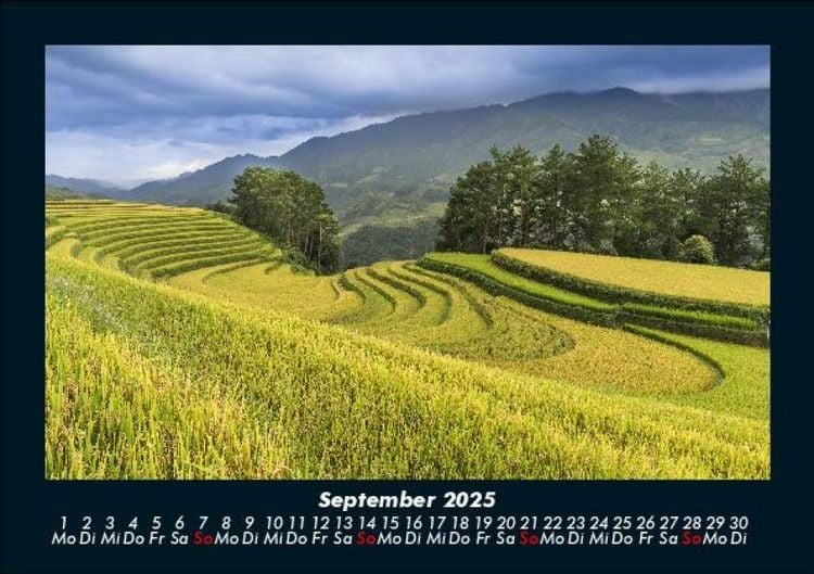 Produktbild: Blick in die Natur 2025 Fotokalender DIN A5