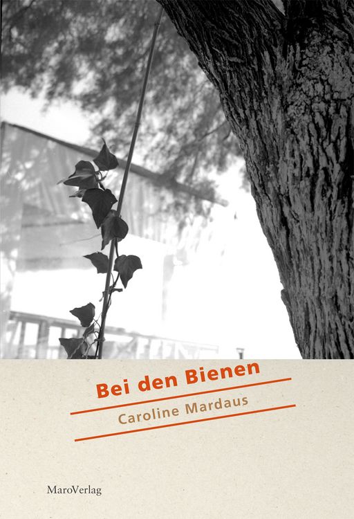 Produktbild: Bei den Bienen