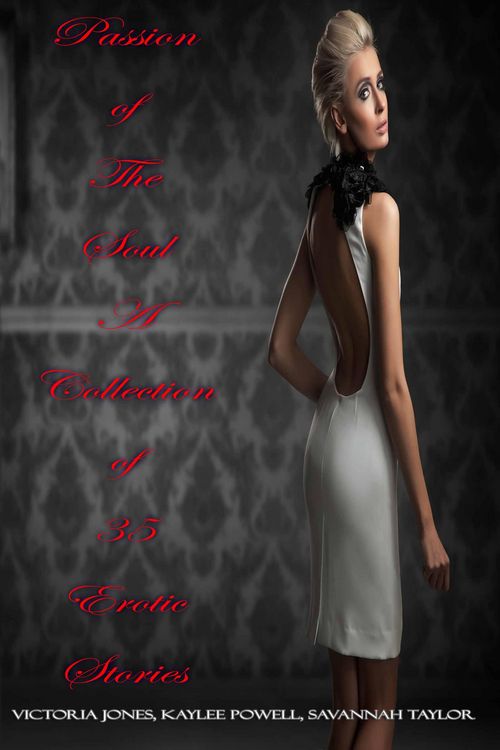 Produktbild: Passion of The Soul - A Collection of 35 Erotic Stories