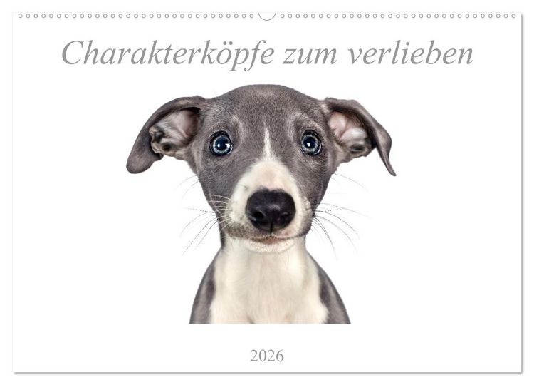 Produktbild: Charakterk&ouml;pfe zum verlieben (Wandkalender 2026 DIN A2 quer), CALVENDO Monatskalender