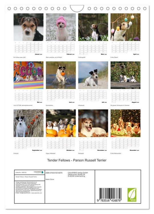 Produktbild: Tender Fellows - Parson Russell Terrier (Wandkalender 2026 DIN A4 hoch), CALVENDO Monatskalender