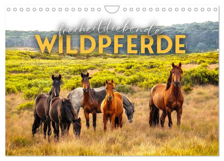 Produktbild: Freiheitsliebende Wildpferde (Wandkalender 2026 DIN A4 quer), CALVENDO Monatskalender