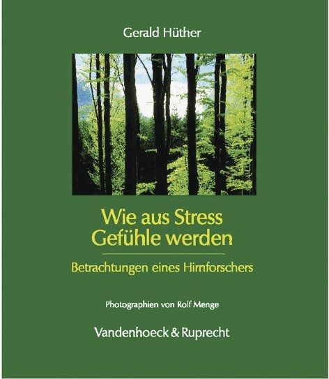 Produktbild: Wie aus Stress Gef&uuml;hle werden