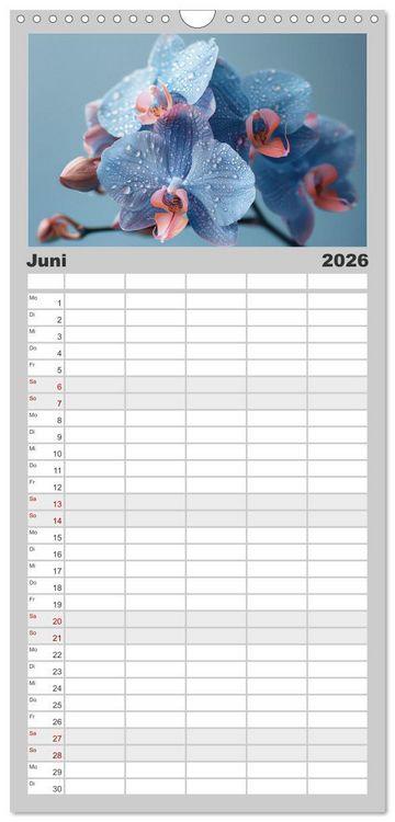 Produktbild: Familienplaner 2026 - Orchideen - farbenfroh durchs Jahr mit 5 Spalten (Wandkalender, 21 x 45 cm) CALVENDO