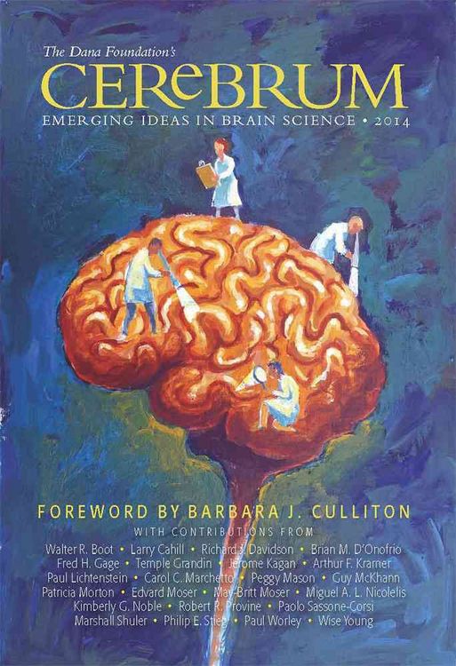 Produktbild: Cerebrum 2014 Emerging Ideas I