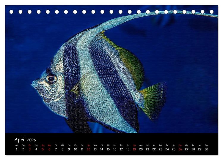Produktbild: Die Welt unter Wasser (Tischkalender 2026 DIN A5 quer), CALVENDO Monatskalender