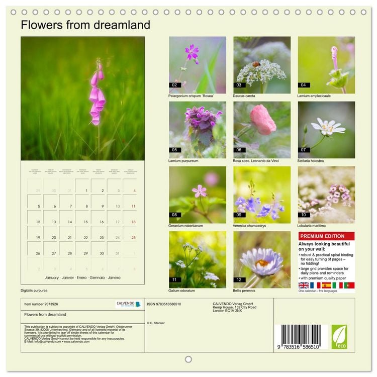 Produktbild: Flowers from dreamland (Wall Calendar 2026 12 &times; 12 Inch) CALVENDO 12 Month Wall Calendar