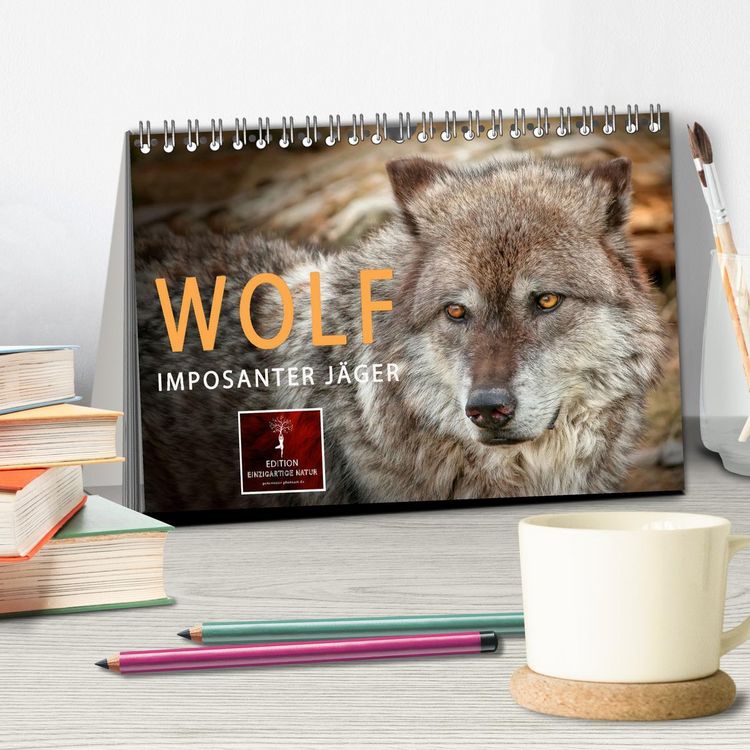 Produktbild: Wolf - Imposanter J&auml;ger (Tischkalender 2026 DIN A5 quer), CALVENDO Monatskalender