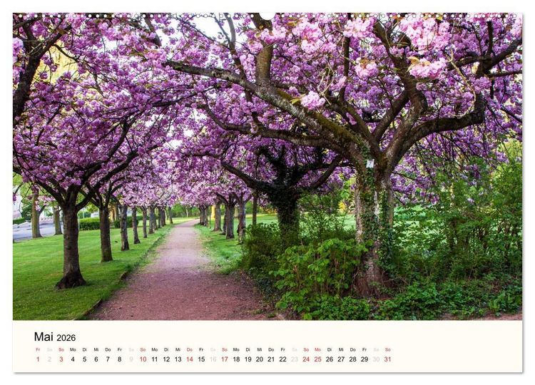 Produktbild: V&ouml;lklingen. Im Schatten des Weltkulturerbes (Wandkalender 2026 DIN A2 quer), CALVENDO Monatskalender