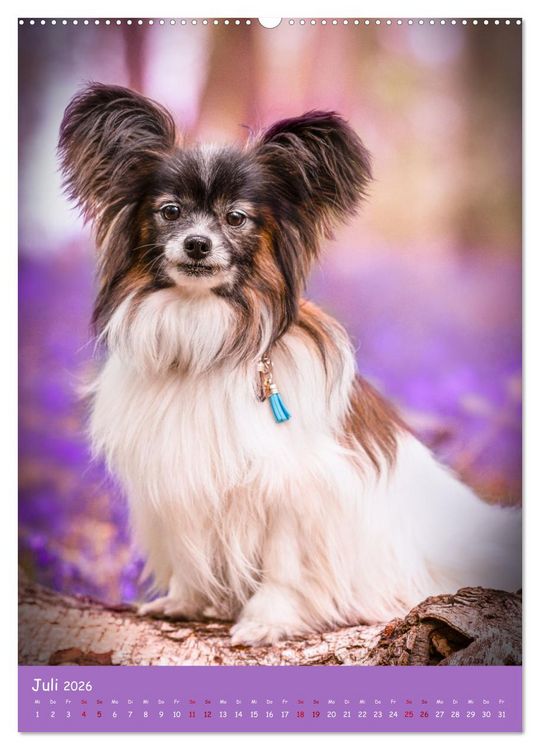 Produktbild: Flora Canidae - der Hunde-Bl&uuml;hpflanzen-Kalender (Wandkalender 2026 DIN A2 hoch), CALVENDO Monatskalender
